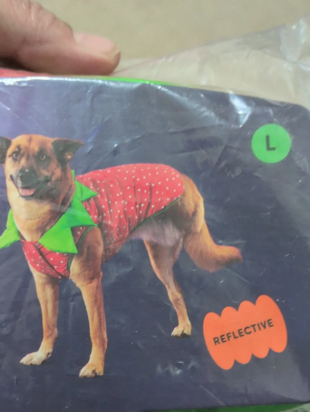 Reflective Strawberry Pet Vest